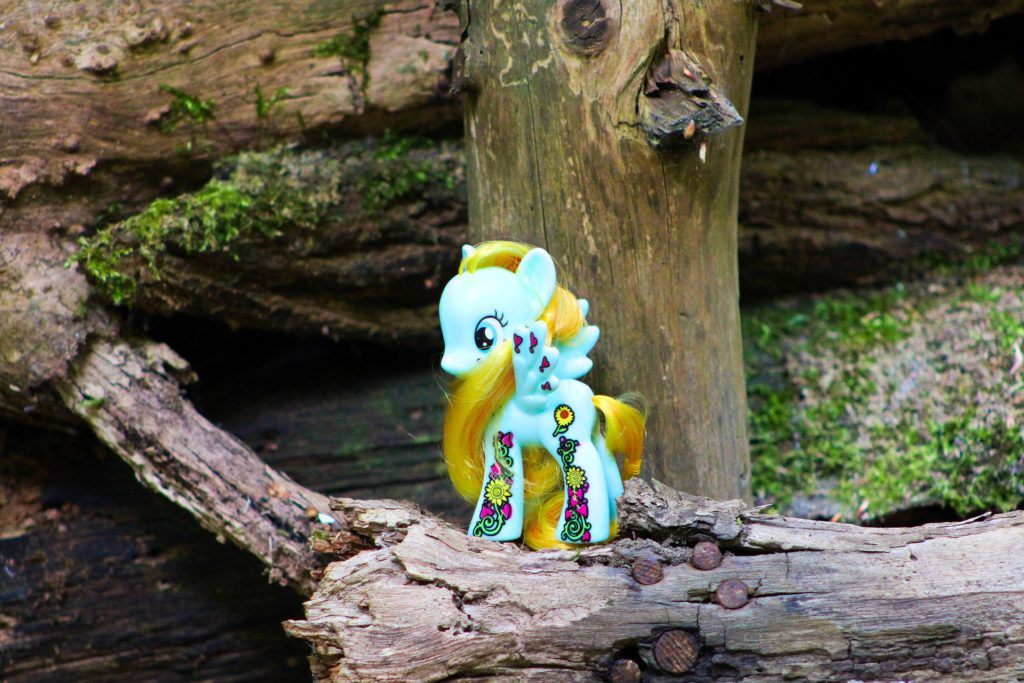 a my little pony doll in the wild