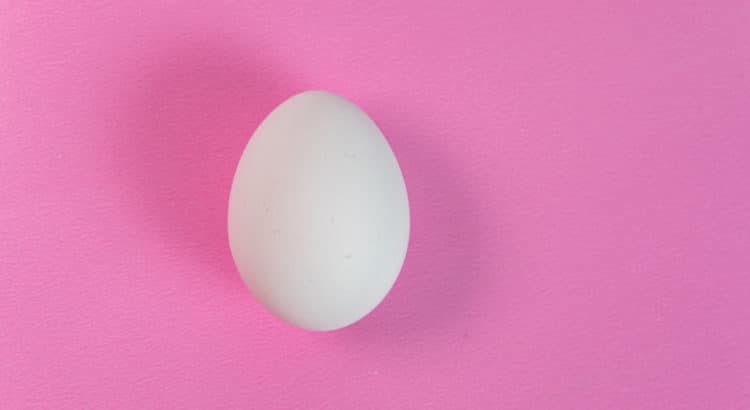 egg on a pink background