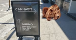 a bear sleeping next to a sign that says Cannibis to your right, up ahead, dunno maybe bears? wouldn't risk it