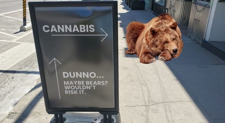 a bear sleeping next to a sign that says Cannibis to your right, up ahead, dunno maybe bears? wouldn't risk it